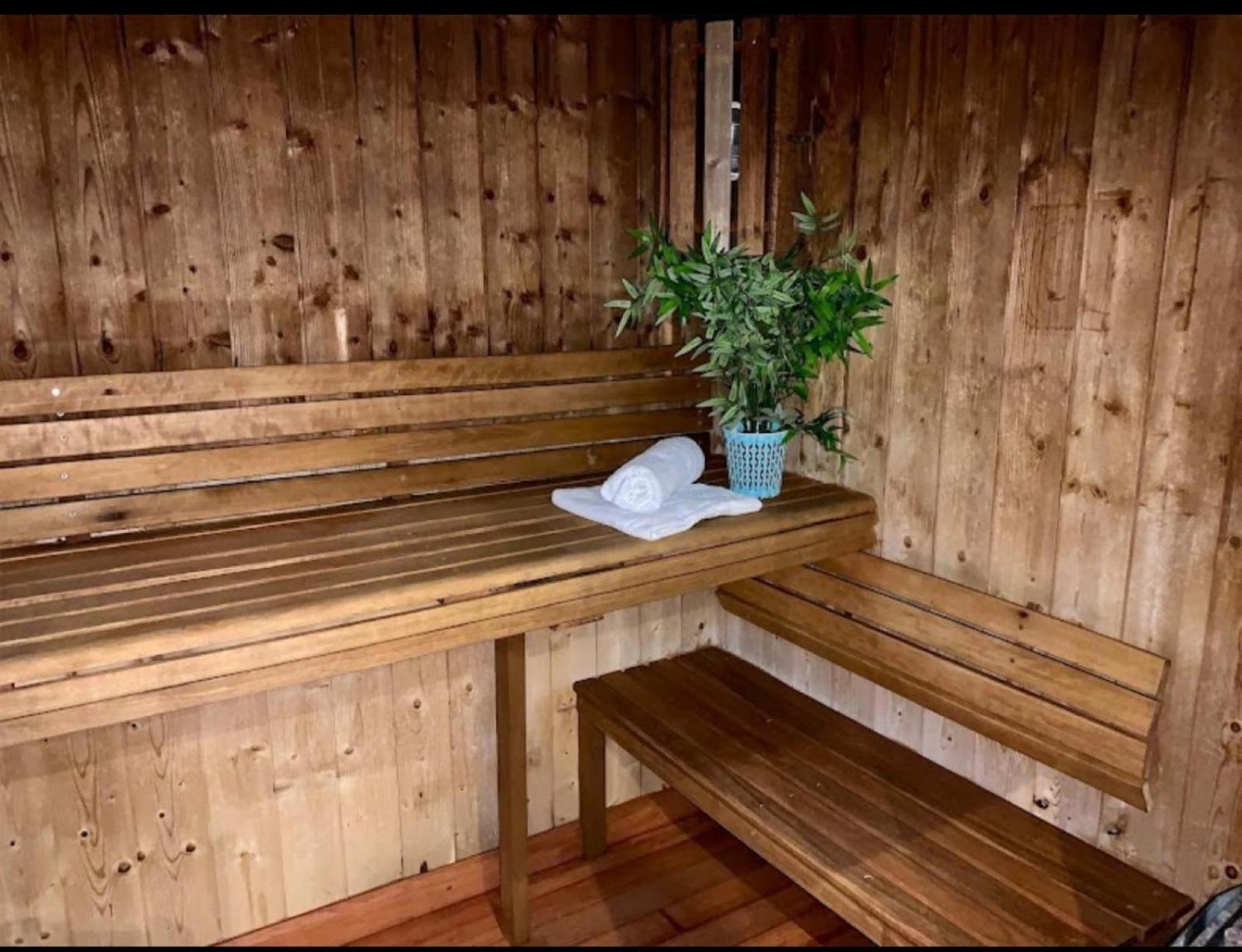 Appartements Avec Piscine Interieure Sauna Parking Etage 1 Au Centre Du Village Dans Residence Cami Real Saint-Lary-Soulan Dış mekan fotoğraf