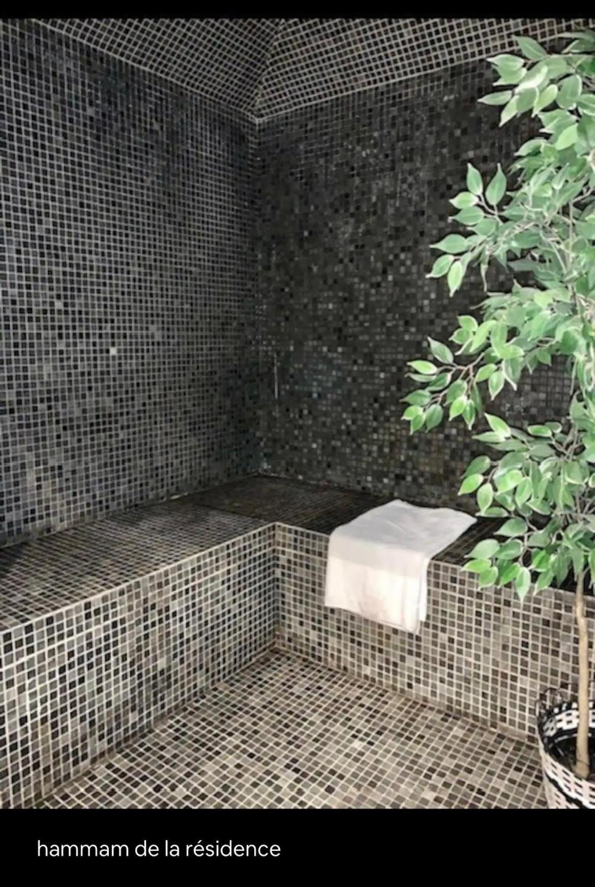 Appartements Avec Piscine Interieure Sauna Parking Etage 1 Au Centre Du Village Dans Residence Cami Real Saint-Lary-Soulan Dış mekan fotoğraf